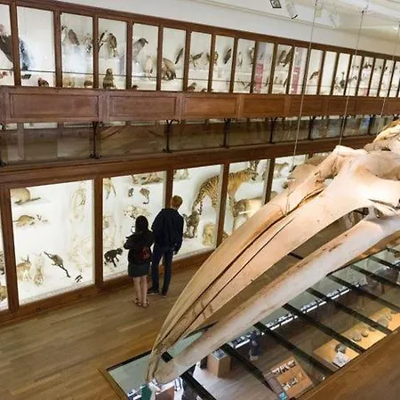 Apartamento Le Baco-baco, Face Au Chateau, Avec Parking