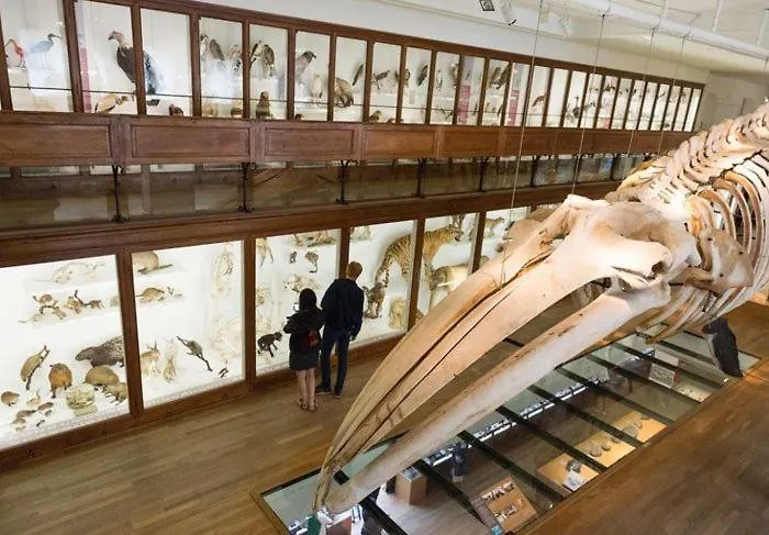 Апартаменты Le Baco-baco, Face Au Chateau, Avec Parking